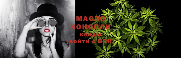 сатива Новозыбков