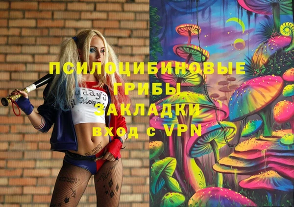 прущие грибы Нефтегорск