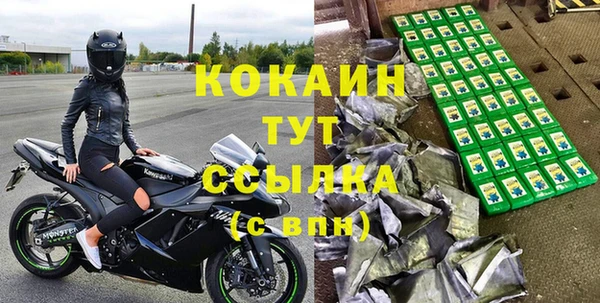 сатива Новокубанск