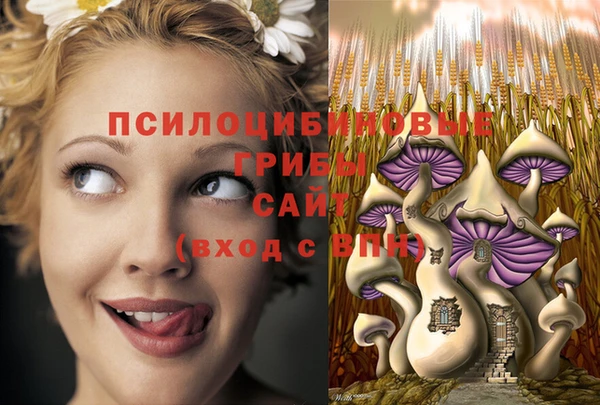 скорость Нея