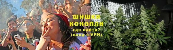 прущие грибы Нефтегорск