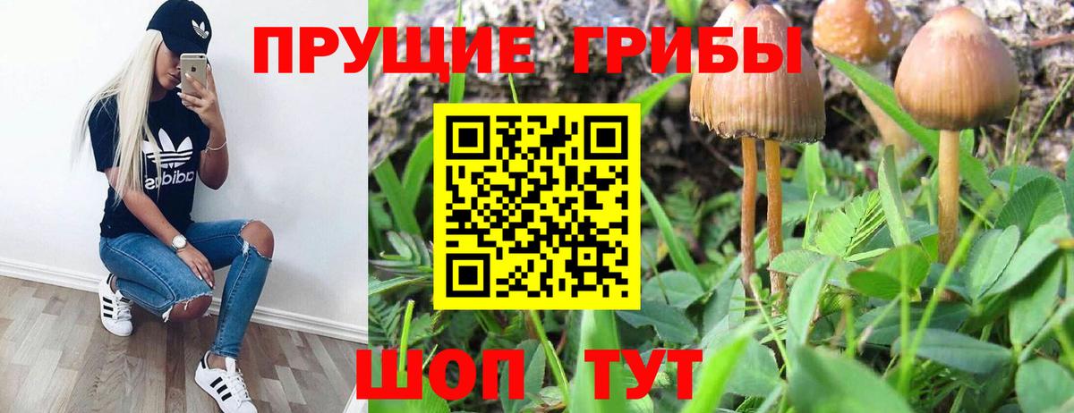 закладка  Галлюциногенные грибы MAGIC MUSHROOMS  Вход с VPN  Югорск 